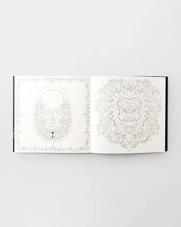 Enchanted Forest: An Inky Quest & Coloring Book