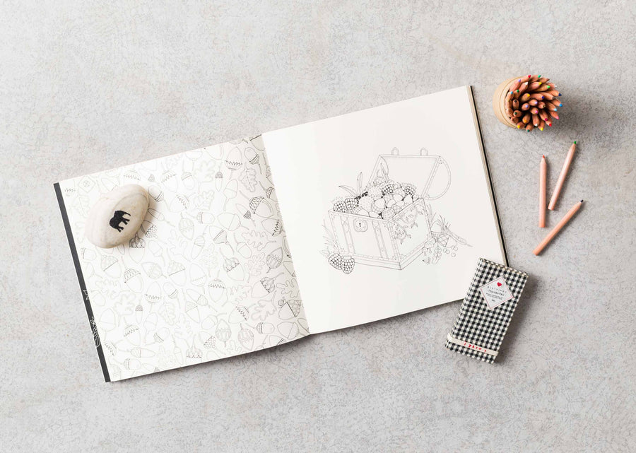 Enchanted Forest: An Inky Quest & Coloring Book