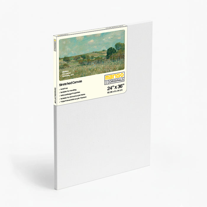 Mango Originals Stretched Canvas