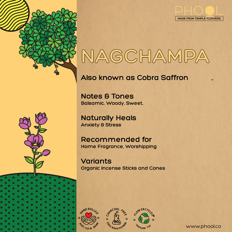 PHOOL - Natural Incense Cones - Nagchampa (40U)