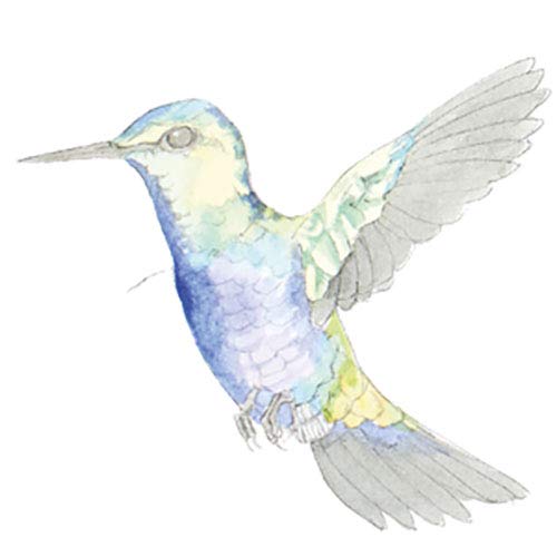 Birds: The Watercolor Art Pad by Emma Faull – 15 Avian Artworks to Paint (With Art Paper Inside)