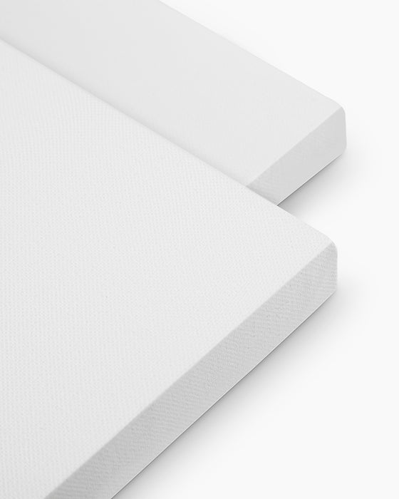 Camel - Stretched Canvas (8 x 10)