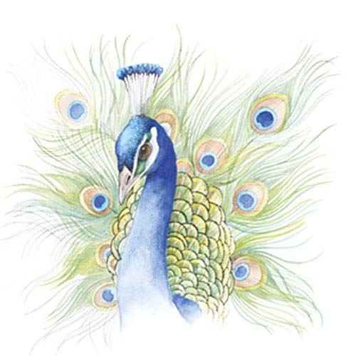 Birds: The Watercolor Art Pad by Emma Faull – 15 Avian Artworks to Paint (With Art Paper Inside)