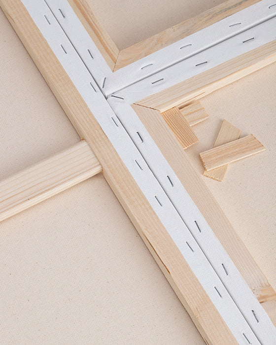 Camel - Stretched Canvas (8 x 10)