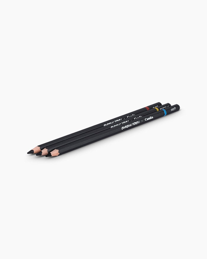 Camlin - Charcoal Pencils (Sets of 3)