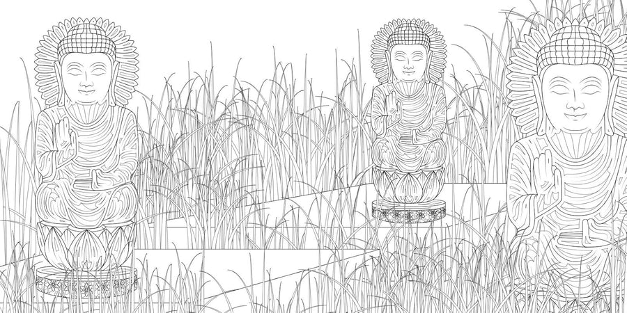 A Passion For Japan A Coloring Exploration (Calm Coloring: Natural Wonders)