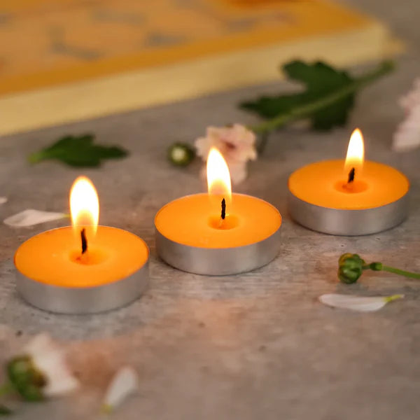 IRIS 15 Pack Fragranced Tealights – Mango Sorbet