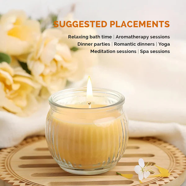 IRIS Ribbed Jar Scented Candle – Mango Sorbet