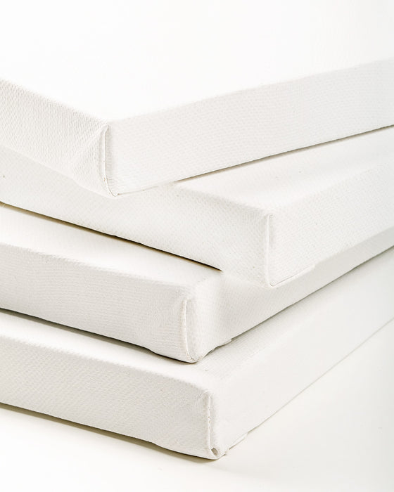 Camel - Stretched Canvas (8 x 10)