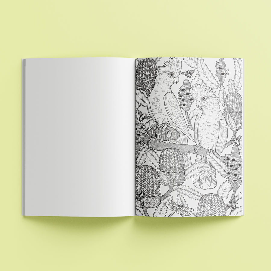 Kaleidoscope Colouring: Among the Gumtrees