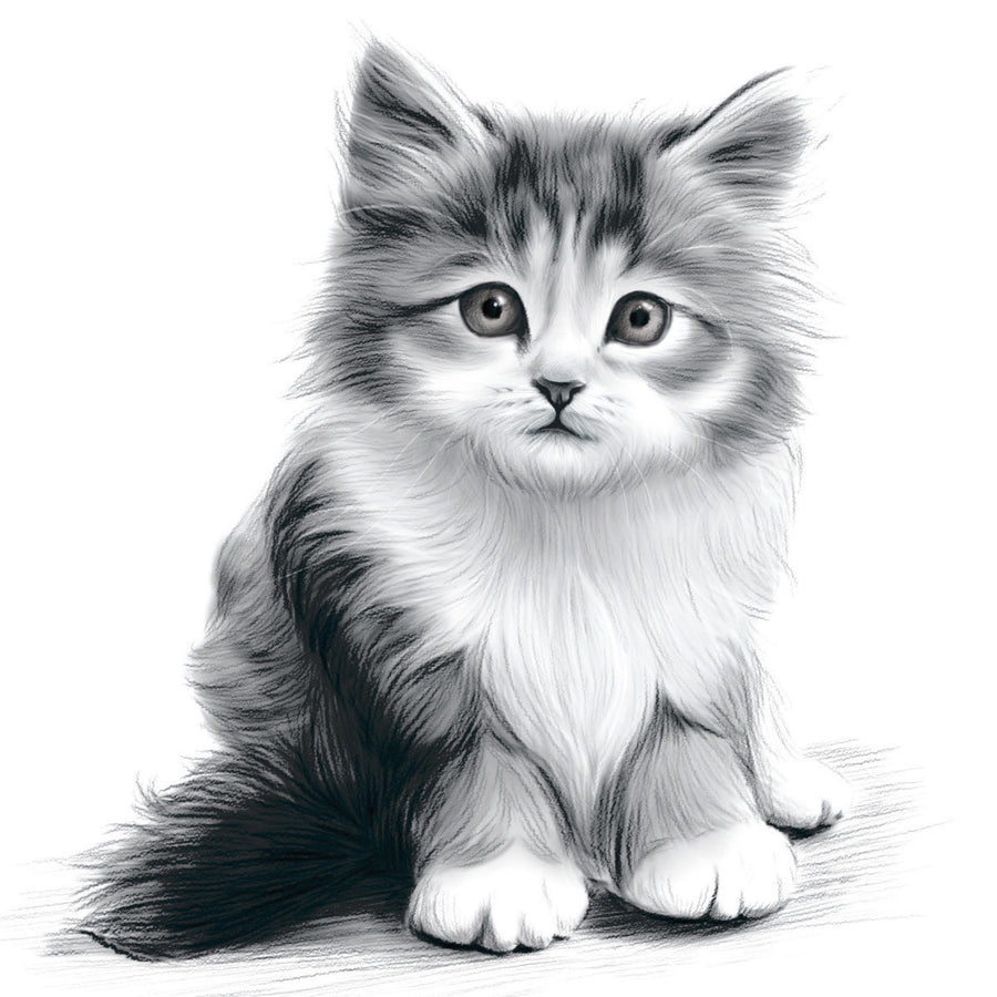Art Maker - Drawing Techniques