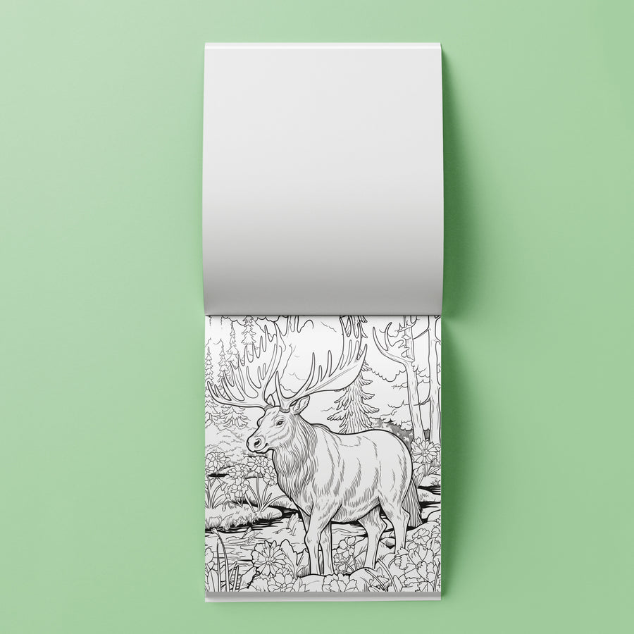 Artmaker - Majestic Colouring