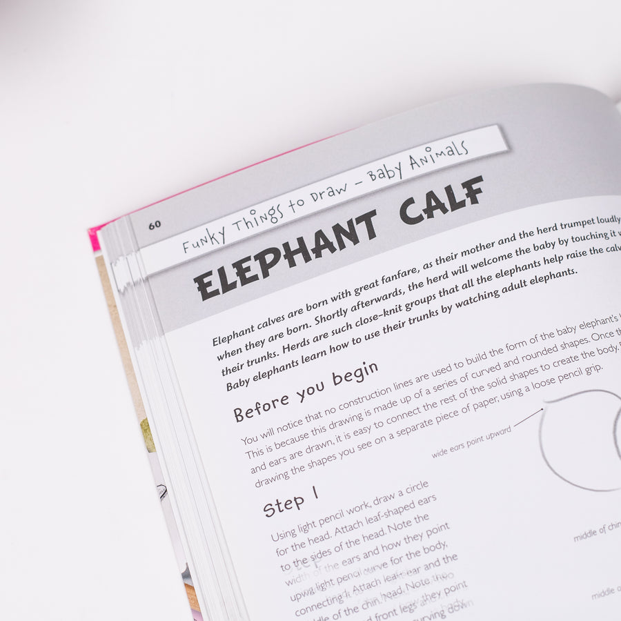 Funky Things To Draw: Over 80 drawings To Master Art Book