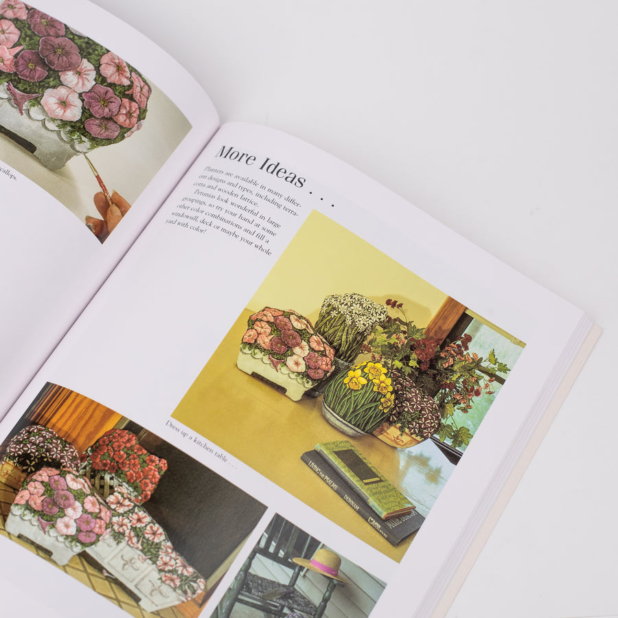 Painting Flowers on Rocks: By Lin Wellford (Paperback)