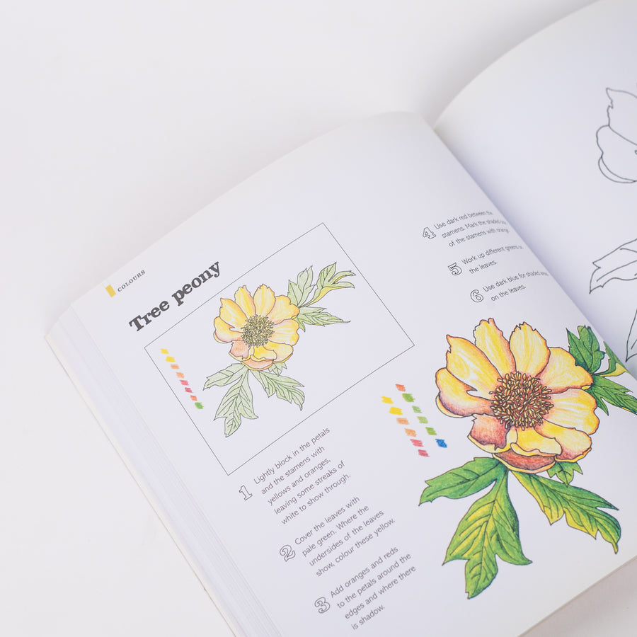 Masterclass in Colour: A colouring workbook of techniques and inspiration: By Meriel Thurstan , Rosie Martin (Paperback)
