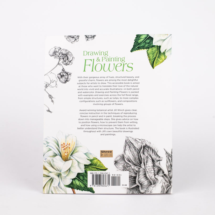 Drawing & Painting Flowers: A Step-by-Step Guide to Creating Beautiful Floral Artworks: By Jill Winch (Paperback)