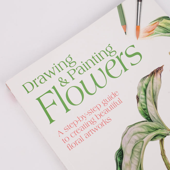 Drawing & Painting Flowers: A Step-by-Step Guide to Creating Beautiful Floral Artworks: By Jill Winch (Paperback)