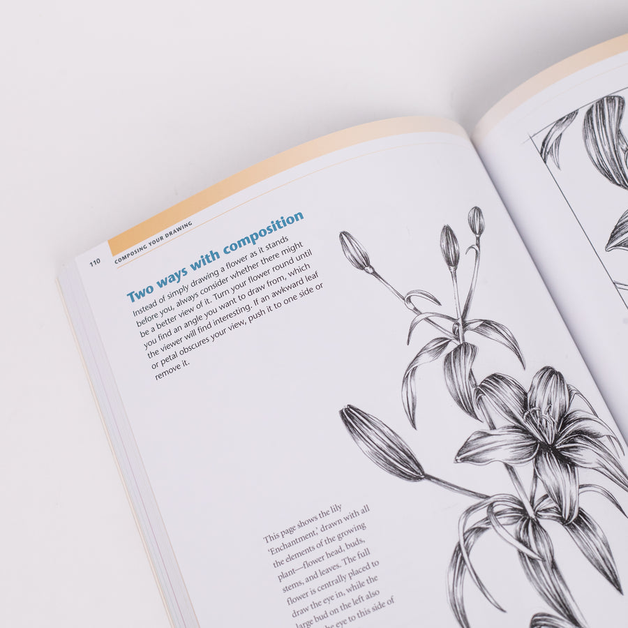 Drawing & Painting Flowers: A Step-by-Step Guide to Creating Beautiful Floral Artworks: By Jill Winch (Paperback)