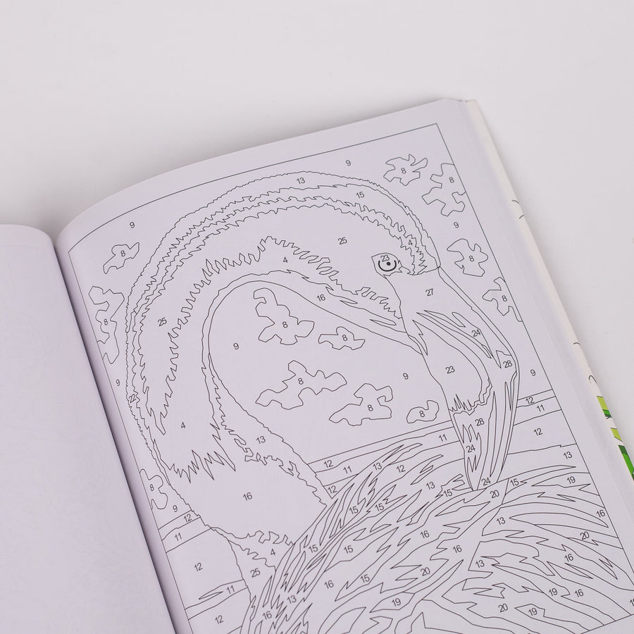 Animal-kingdom-art-book-open