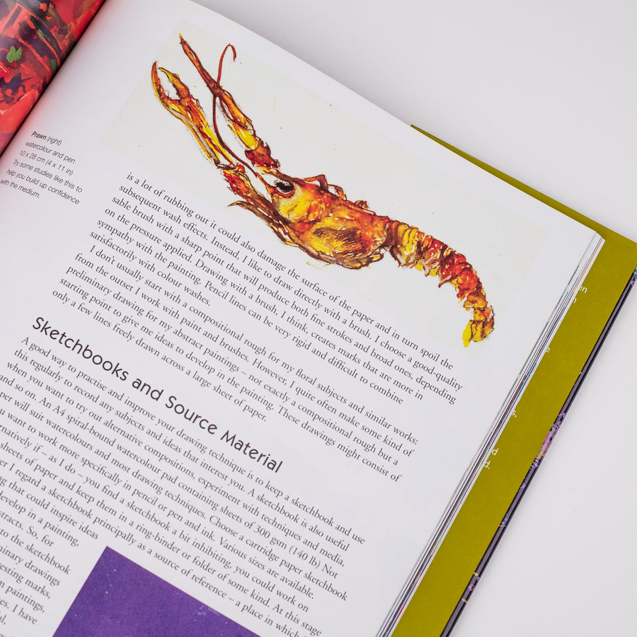 Design and Colour in Watercolour: For Painting, Illustration and Fabric Design: By Michelle Scragg, Robin Capon (Hardcover)