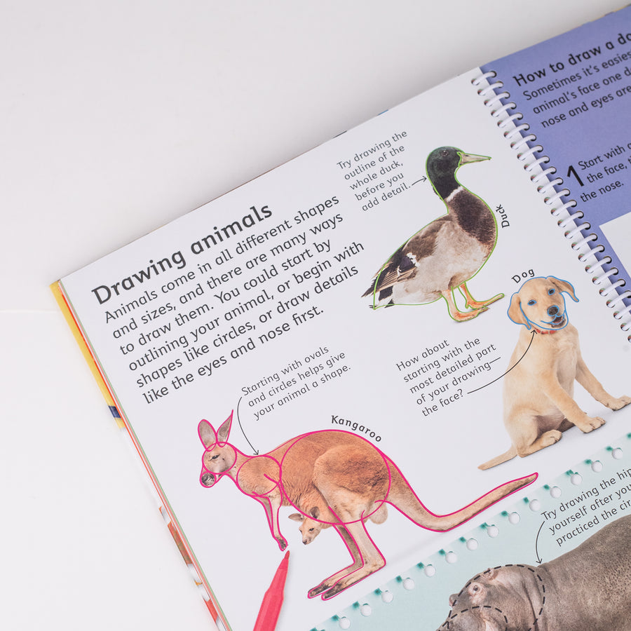 How to Draw: By Clare Johnson (Hardcover)