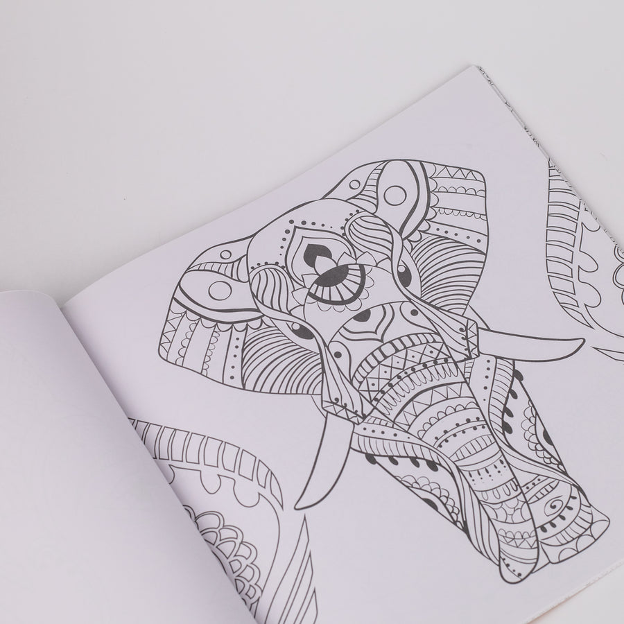 Mandala Colouring Book For Adultd 2 (Paperback, infinity publishing)
