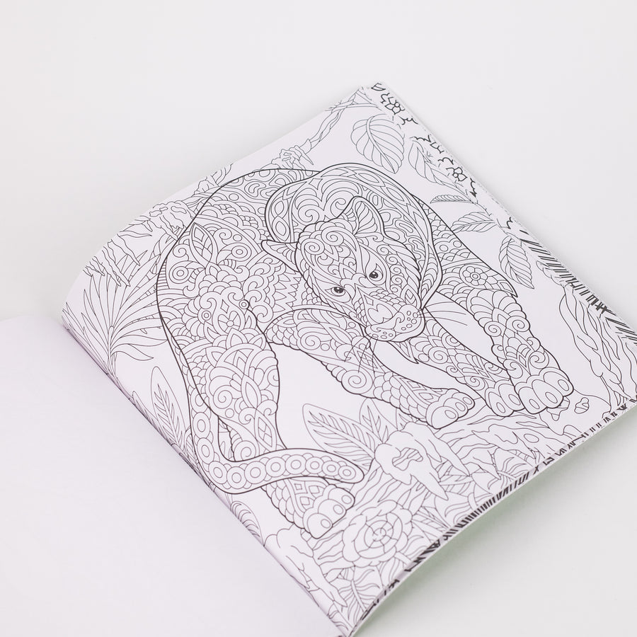 Animals Birds Colouring Book for Adults (Paperback)