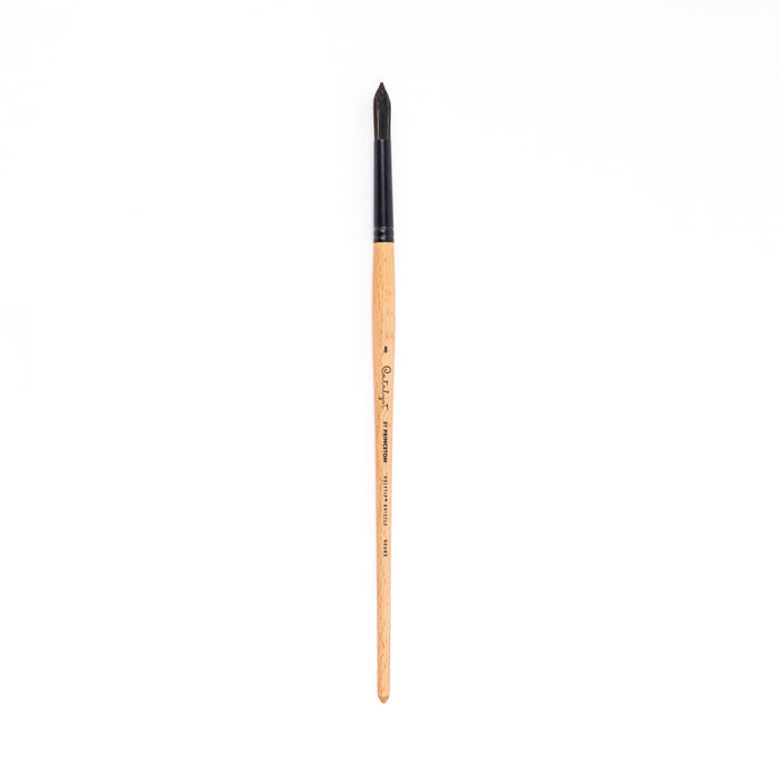 Princeton Catalyst Polytip Bristle Synthetic Round Long Handle Brush - 6400 Series