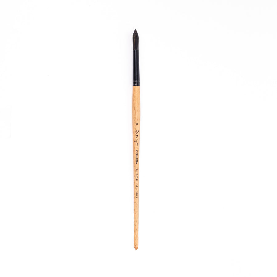 Princeton Catalyst Polytip Bristle Synthetic Round Long Handle Brush - 6400 Series