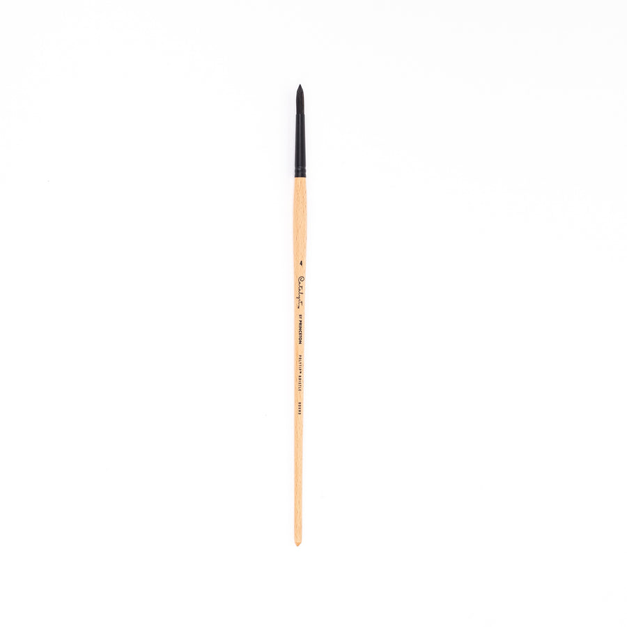 Princeton Catalyst Polytip Bristle Synthetic Round Long Handle Brush - 6400 Series