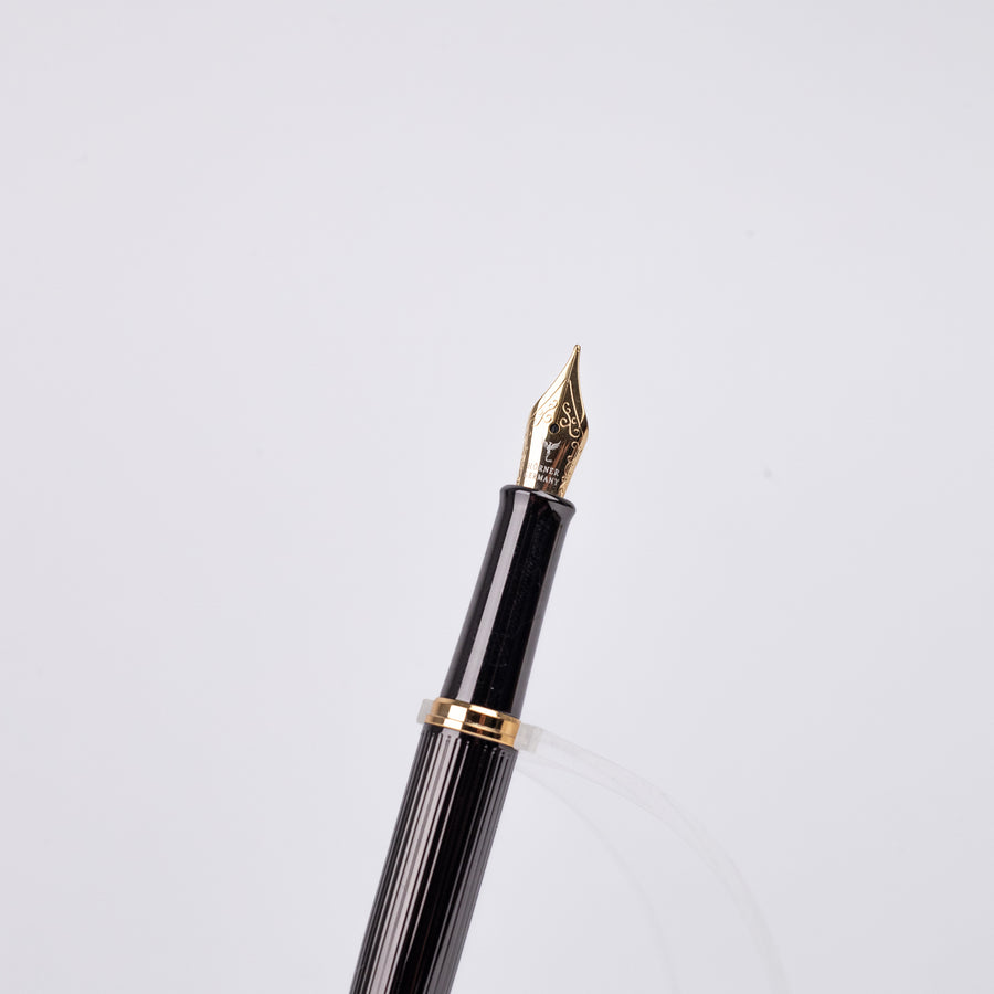 Vectrum Anthracite Gold Trim Fountain Pen