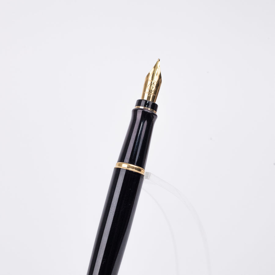 waterman-expert-mars-black-gt-fountain-pen-(F)-nib-view