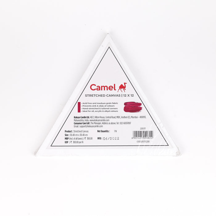 Camel - Triangle Stretched Canvas (12 x 12)