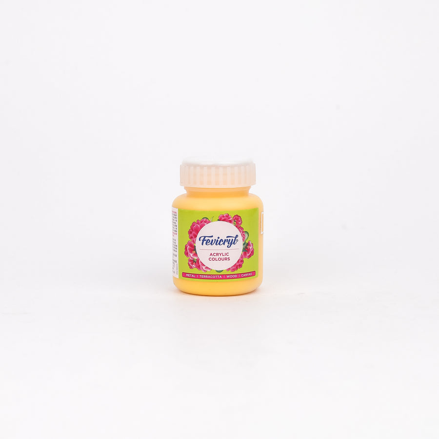 Fevicryl - Acrylic Colour Jar 100ml