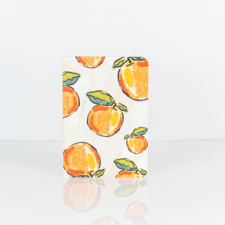 factor-notes-frutizone-ruled-pocket-notebook-front-cover