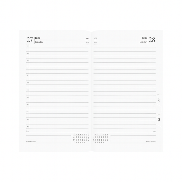 Planfix Desk Planner 2026 (PF-7065)