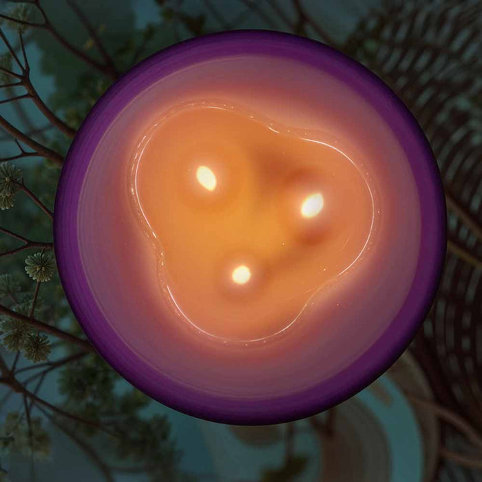 Ekam Lavender 3-Wick Scented Candle