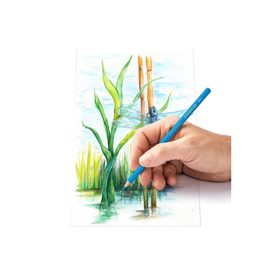 Staedtler Watercolour Pencils Set of 24