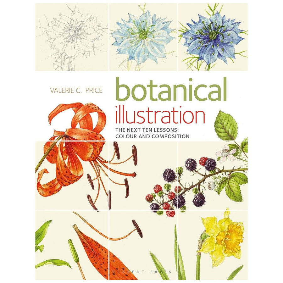 Botanical Illustration: The Next Ten Lessons – Colour and Composition by Valerie C. Price
