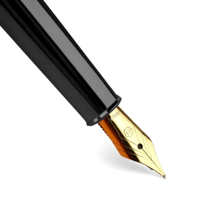 Hero HS209 Fountain Pen – Purple