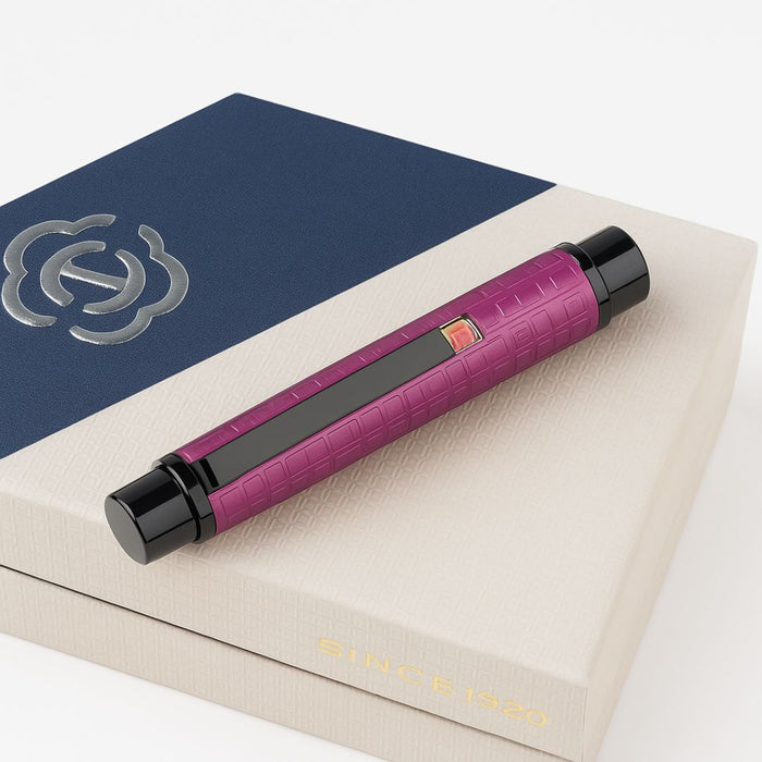 Hero HS209 Fountain Pen – Purple