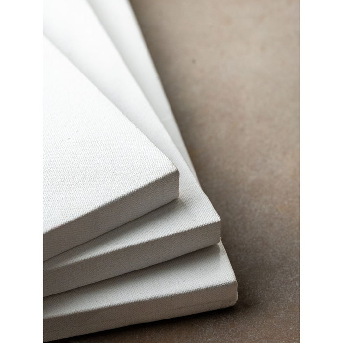 Mango Originals Stretched Canvas