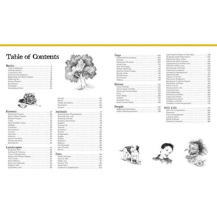 Big School of Drawing – Step-by-Step Guide for Beginners