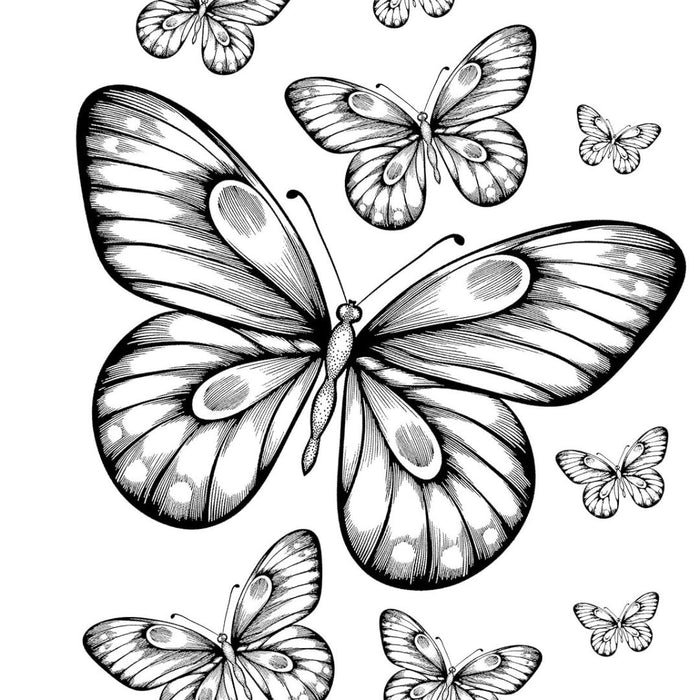 Butterflies – Just Add Color Series (Paperback)