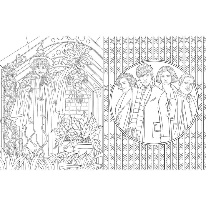 Harry Potter: Hufflepuff House Pride – An Official Colouring Book