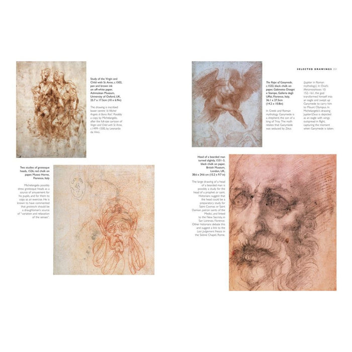 The Life and Works of Michelangelo (Hardcover)