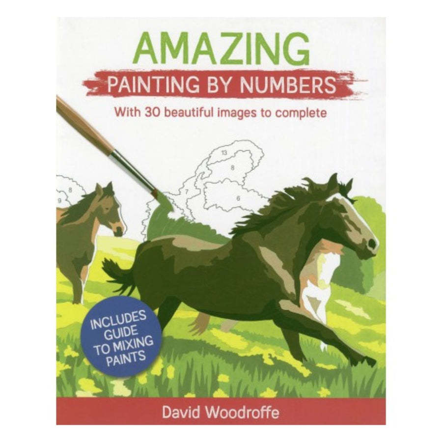 Amazing Painting by Numbers By David Woodroffe - Paperback
