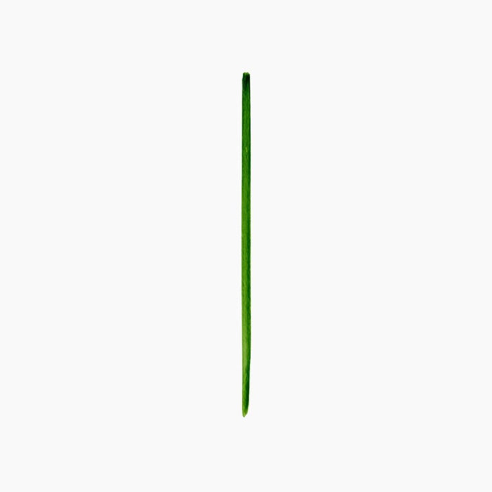 Camel Artist Brush – Flat | Series 69 | No. 4