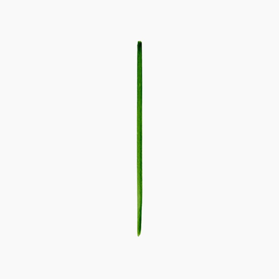 Camel Artist Brush – Flat | Series 69 | No. 4