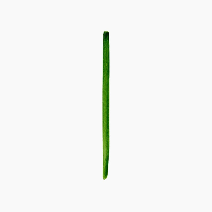 Camel Artist Brush – Flat | Series 69 | No. 6
